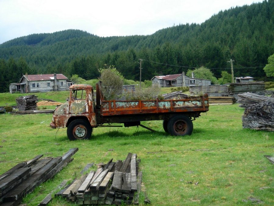 Endean's abandoned timber mill near Waimiha 002.jpg (158484 bytes)