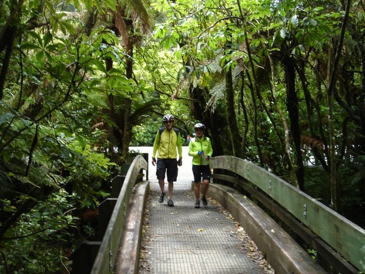 006_Ron_and_Sue_at_Tane_Mahuta.jpg (138620 bytes)