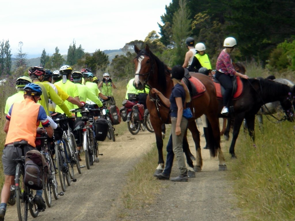 018_Sharing_with_horse_traffic_Waitangi_forest.jpg (160105 bytes)