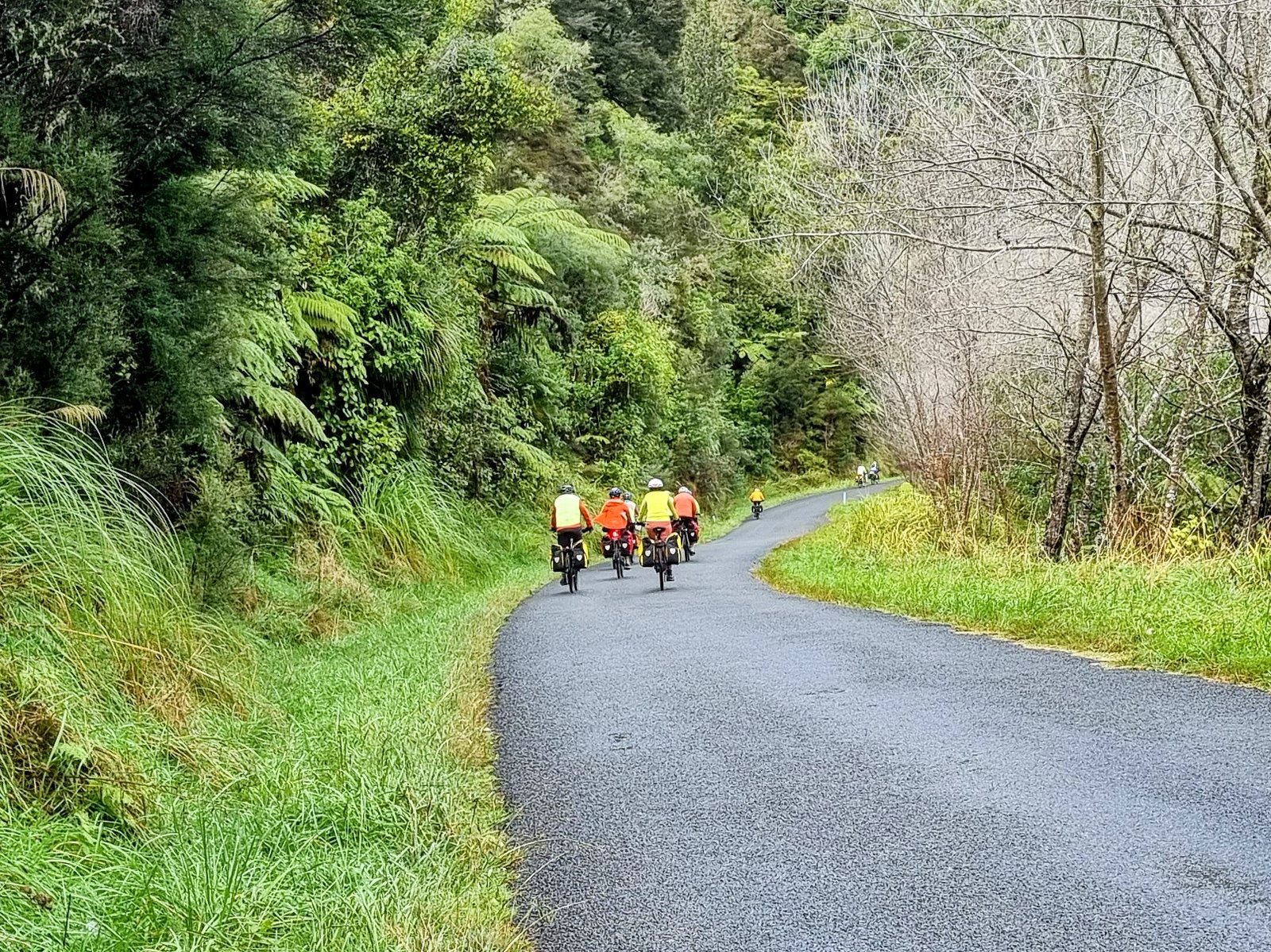 cycle tours in auckland